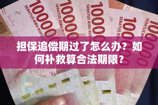 北京担保追偿期过了怎么办？如何补救算合法期限？