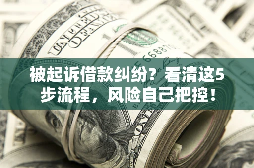北京被起诉借款纠纷？看清这5步流程，风险自己把控！