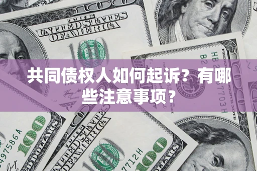 北京共同债权人如何起诉？有哪些注意事项？